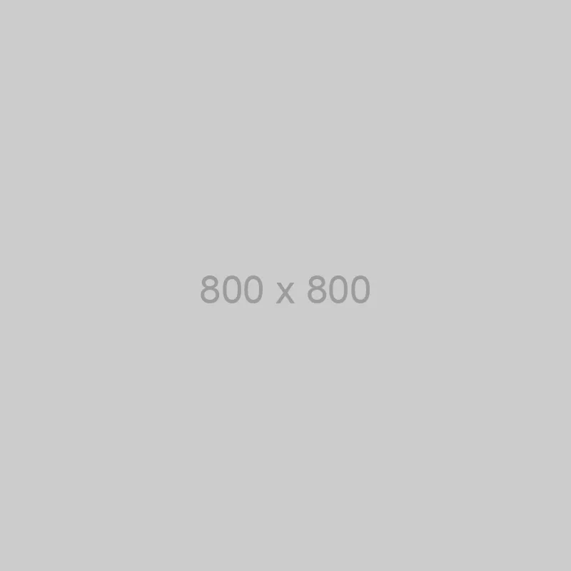 03 Case Study